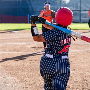 Roxanna Torres mugshot