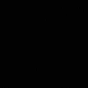 Maura McMurtry mugshot