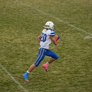 Treyce Ward