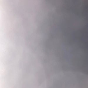 Danielle Thomas-Foreman