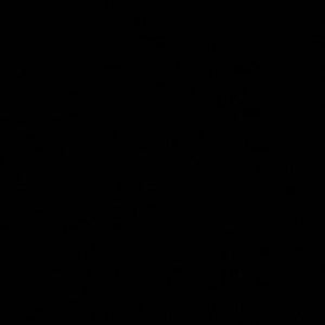 Caymen Wimmer mugshot