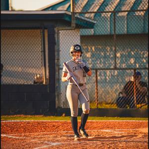 Alena Alakrah mugshot