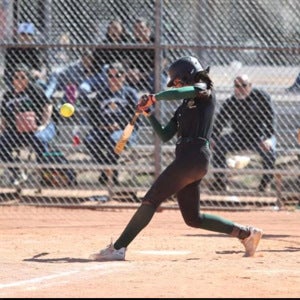 Angelee Villa mugshot