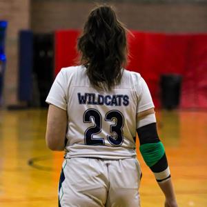 Ashley Aguirre mugshot