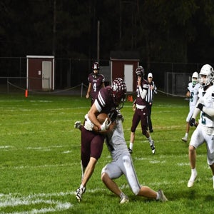 Cameron Guzman mugshot