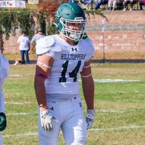 DAVIS PALMIERI
