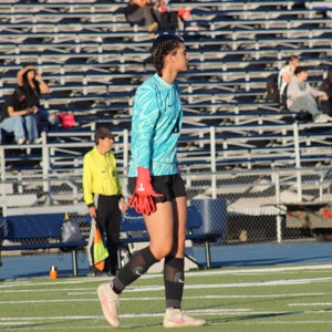 Ava Ebrahimi mugshot