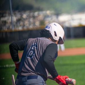 ALFREDO GALLEGOS MEDINA