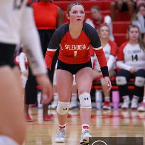 Morgan Johnson mugshot