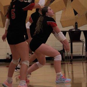 Elizabeth Bailey mugshot