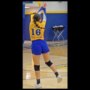 Yamileth Lujan mugshot