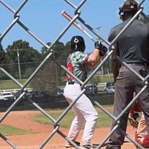 MATTHEW ALESSANDRINI