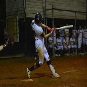 Haylee Ellis mugshot