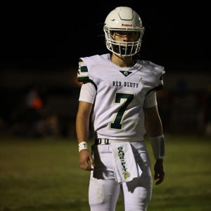 Ashden Wehbey mugshot