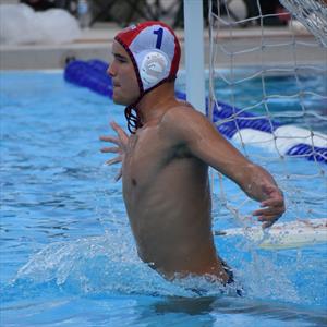 MARCELL VARHALMI