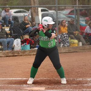 HALLIE NOLL