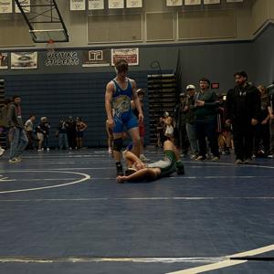 ANDREW GERBER