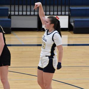 Audrey Heston mugshot