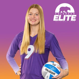 Allison Bailey