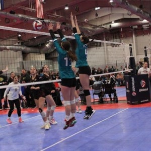 Ashley Gibson mugshot