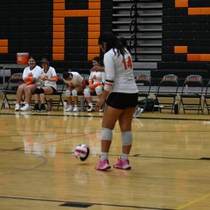 Karla Castillo-Padilla mugshot