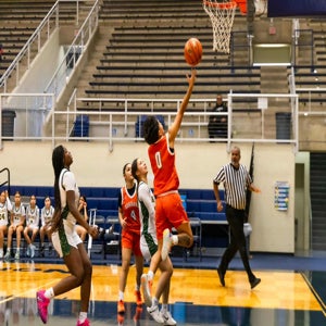 Nyila Botello mugshot