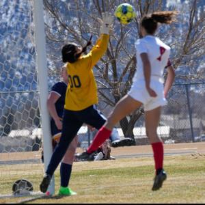 Yoselyn Lua Sandoval mugshot