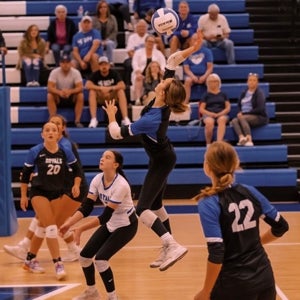 Hayden Collins mugshot