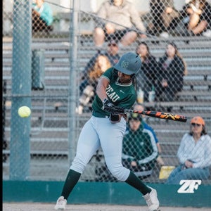 Leila  Dixon mugshot