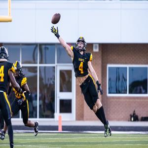 Landry Hopkins mugshot