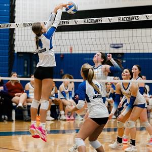 Marin Painter mugshot