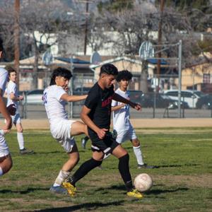 Eduardo Arevalo mugshot