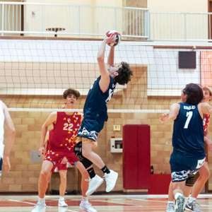 Tristan McDaniel mugshot