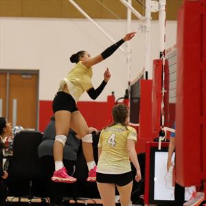 Campbell Dawson mugshot