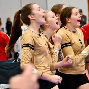 Crickette Draghici mugshot