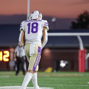 Hamilton Gates mugshot