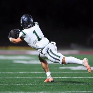 Ryals Puryear mugshot