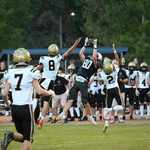 LOGAN BOPP