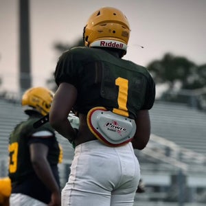 Gabriel Williams mugshot