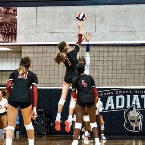 Elizabeth Caro mugshot