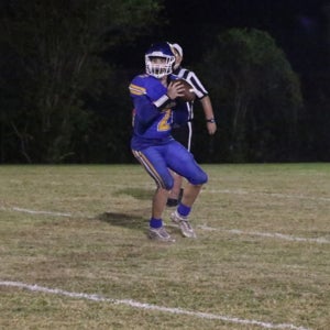 Roman Wilder mugshot