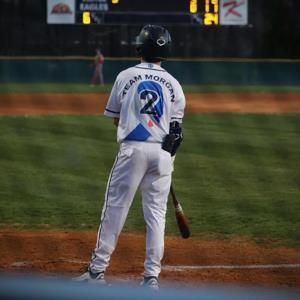 Ashton Fields