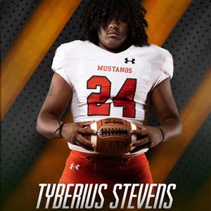 Ty Stevens
