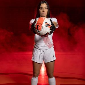 Andrea Alvarenga mugshot