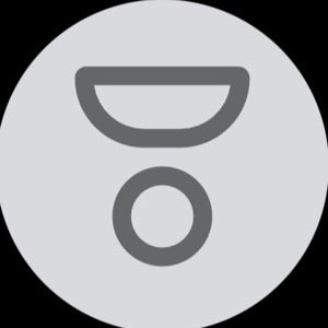 Aron Wolfson mugshot