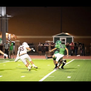 Leonardo Mendoza mugshot