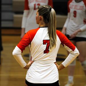 Addison Sebree mugshot