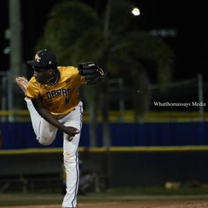 Rupert Blackwood Jr mugshot