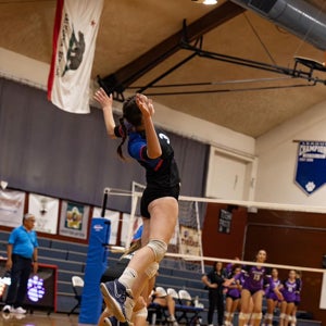 Marron Larkin mugshot