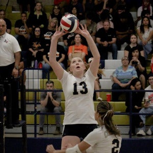 Addison (addie-mack) rosales mugshot